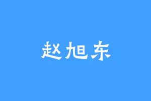 赵旭东