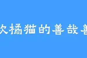 喜欢橘猫的善哉善哉
