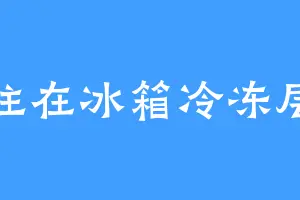 住在冰箱冷冻层