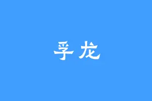 孚龙