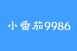 小番茄9986