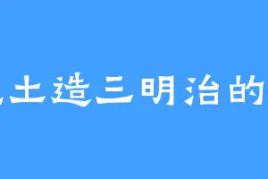 爱吃土造三明治的宋雪