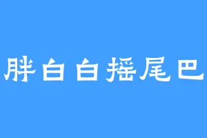 胖白白摇尾巴