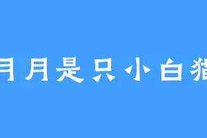 月月是只小白猫