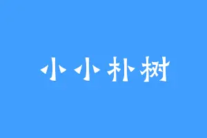 小小朴树