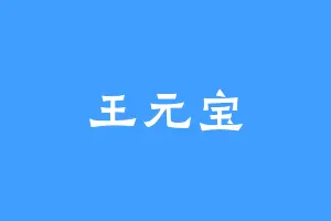 王元宝