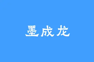 墨成龙