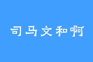 司马文和啊