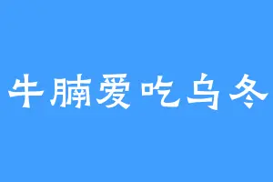 牛腩爱吃乌冬