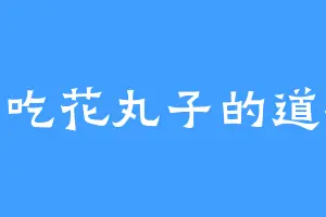 爱吃花丸子的道祖