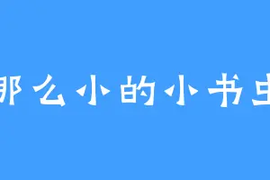 那么小的小书虫