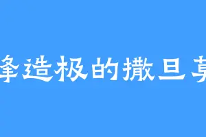 登峰造极的撒旦莫亚