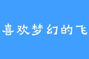喜欢梦幻的飞