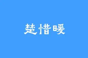 楚惜暖