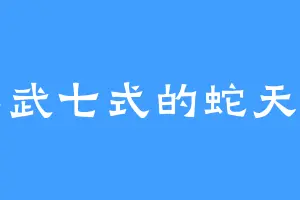 真武七式的蛇天磊