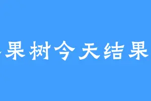 青苹果树今天结果了吗