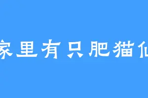 家里有只肥猫仙