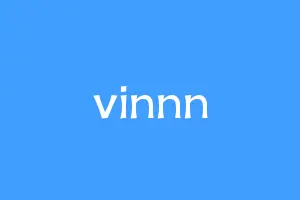 vinnn
