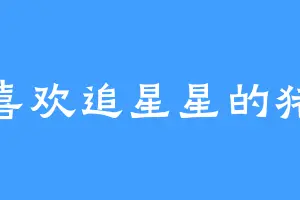 喜欢追星星的猪