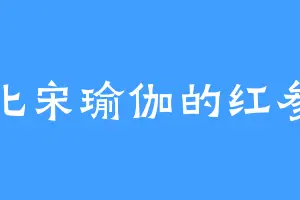 北宋瑜伽的红参