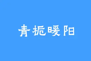 青栀暖阳