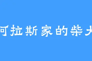 阿拉斯家的柴犬