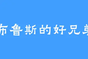 布鲁斯的好兄弟