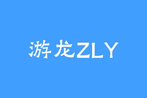 游龙ZLY