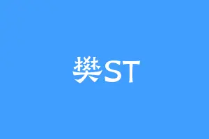 樊ST