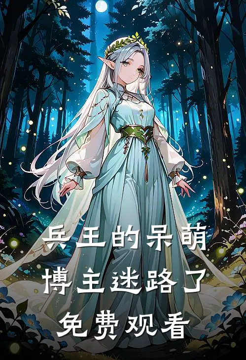 兵王的呆萌博主迷路了免费观看