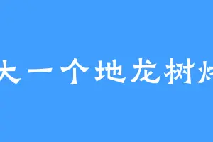好大一个地龙树烤串