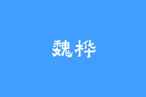 魏桦