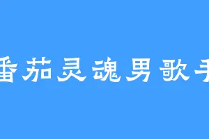 番茄灵魂男歌手