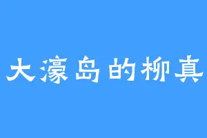 大濠岛的柳真