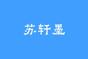苏轩墨