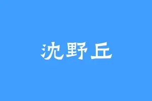 沈野丘