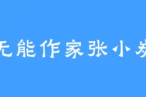 无能作家张小炭