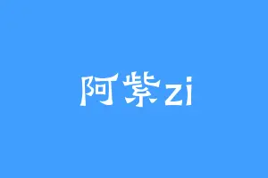 阿紫zi