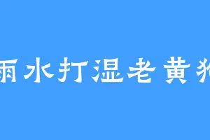雨水打湿老黄狗