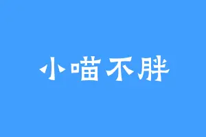 小喵不胖