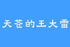 天苍的王大雷