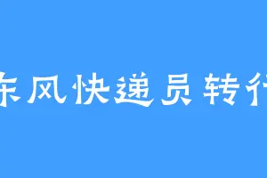 东风快递员转行