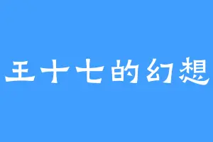 王十七的幻想
