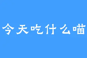 今天吃什么喵
