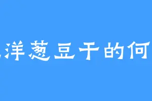 爱吃洋葱豆干的何沧海